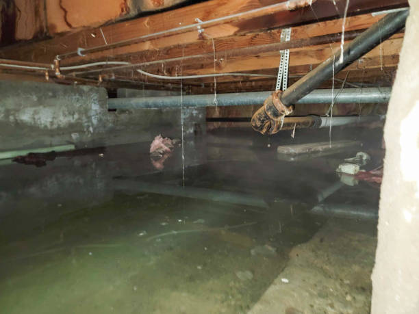 Best Water damage restoration near me  in Delta, UT