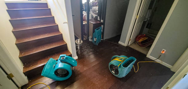 Best Local water damage restoration  in Delta, UT