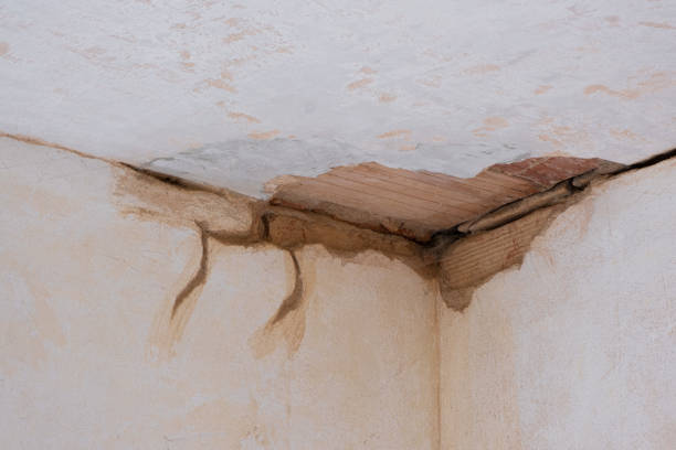 Best Fire Damage Restoration  in Delta, UT