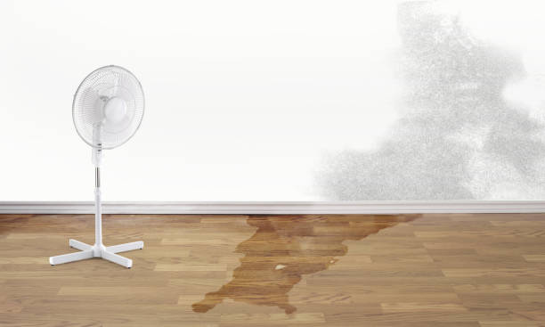 Best Water damage restoration near me  in Delta, UT