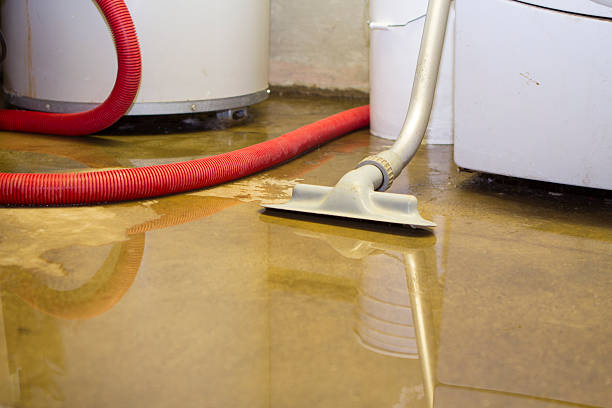 Best 24-hour water damage restoration  in Delta, UT