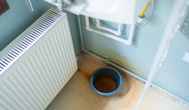 Best Ceiling water damage repair  in Delta, UT