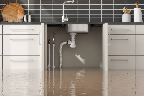 Best Water damage contractors near me  in Delta, UT