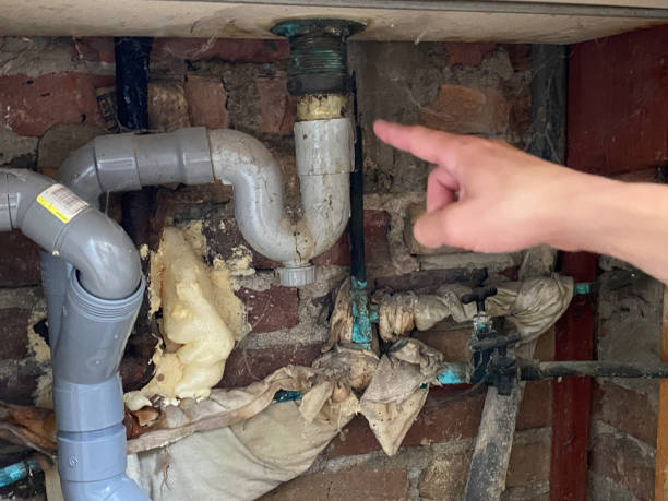 Best Ceiling water damage repair  in Delta, UT